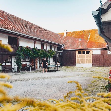 Ferienwohnung Bruehler Hof Бад-Берка Экстерьер фото